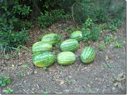 2011-07-28_19-32-18_920