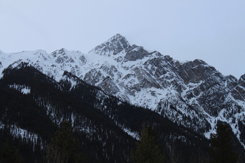 [IMG_70453.jpg]