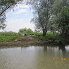 IMG_5784.JPG