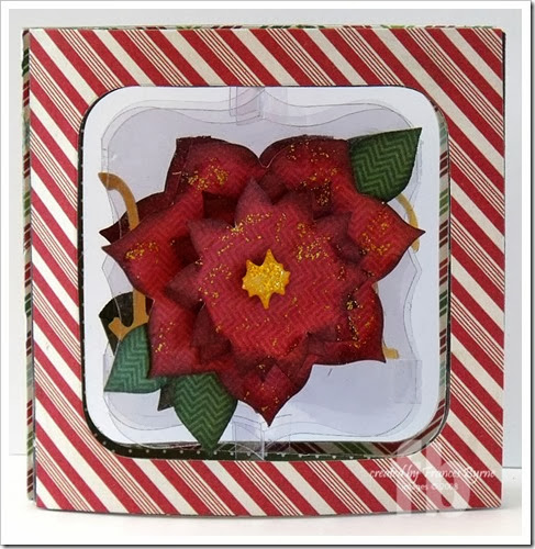 PoinsettiaAccordion3-wm PoinsettiaAccordion3-wm