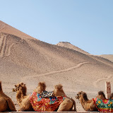 Flaming mountains - 3 chameaux et dunes