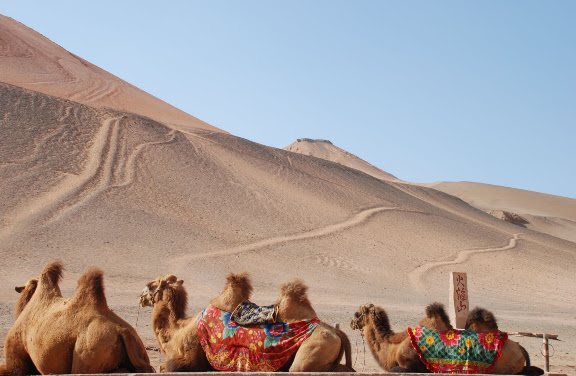 Flaming mountains - 3 chameaux et dunes