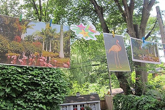 IMG_5947 IMG_5947