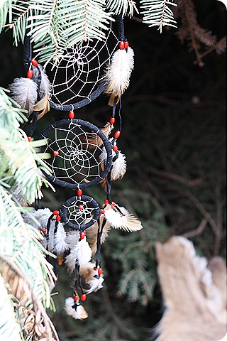 IMG_8974 IMG_8974