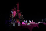 IMG_5485.JPG