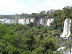 Der Urwald in Iguazu