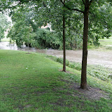 Same two trees as previous, on Monday.