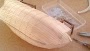 mayflower_014.jpg