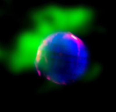 remanescente supernova de Tycho em raios-X, infravermelho e rádio