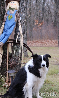 The birthday boy Chance Oct 25 2012 Eight years old