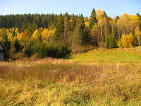 IMG_9126.JPG Photo