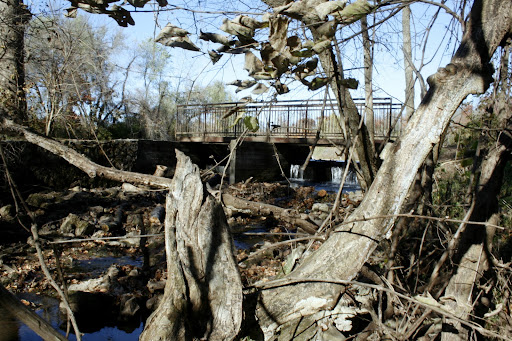 All of the improvements to Sequiota Park will made to benefit the environment downstream. (Photo By: Kenrick Nobles)