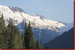 IMG_6732 IMG_6732