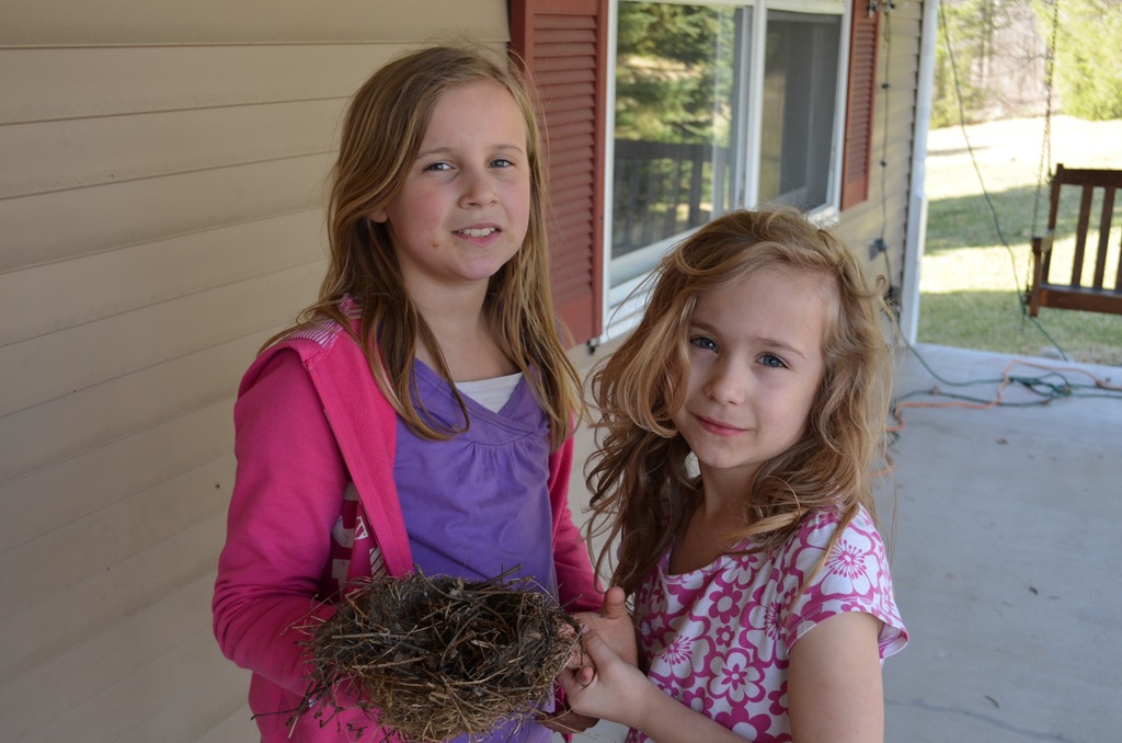 [DSC_4040%255B3%255D.jpg]