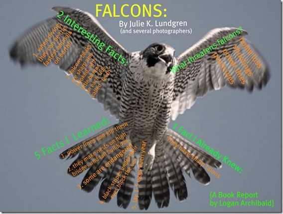 falcon poster
