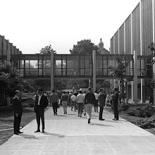 School of Business created