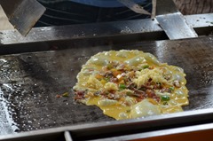 DSC_0876 DSC_0876