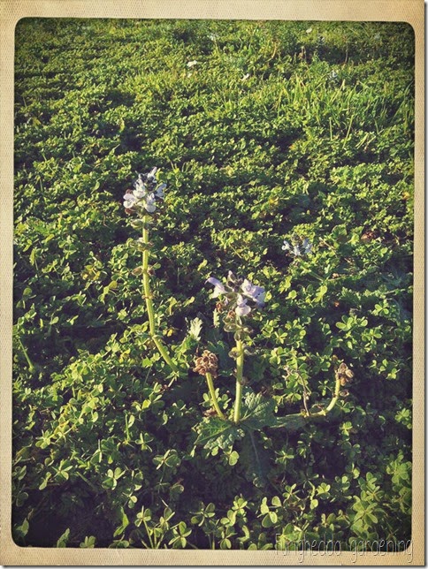 Foto 8 Foto 8