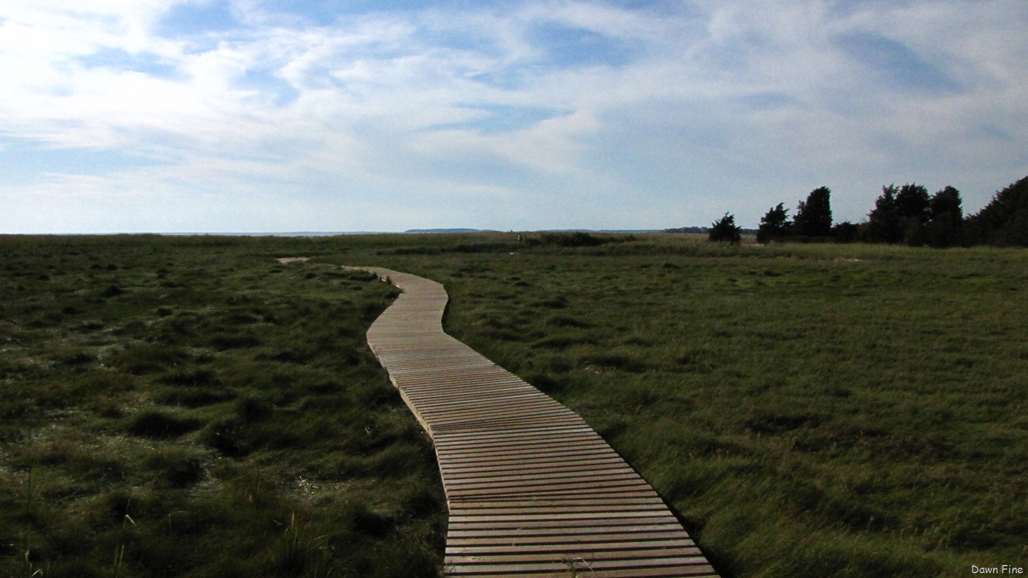 [Welfleet%2520Audubon_008%255B3%255D.jpg]