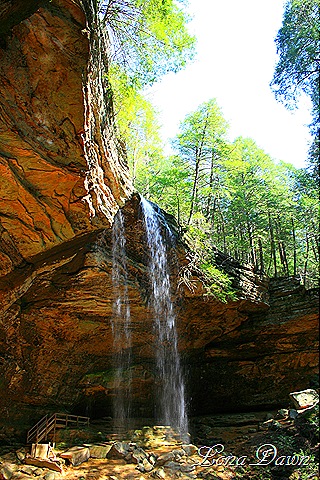 [AFalls%255B6%255D.jpg]