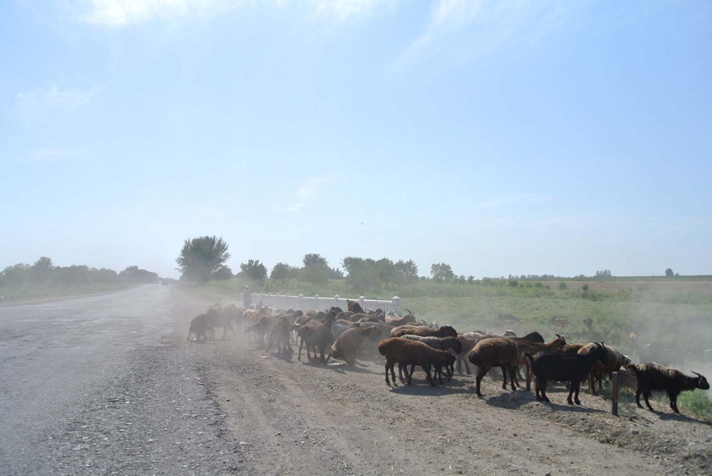 [DSC_6289%255B4%255D.jpg]