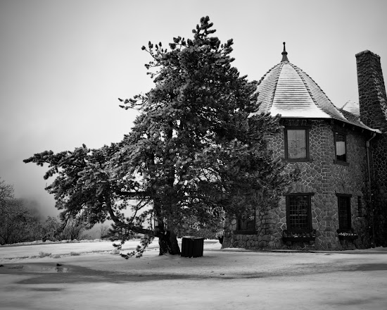 _MG_5303.jpg