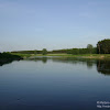 dsc03610.jpg