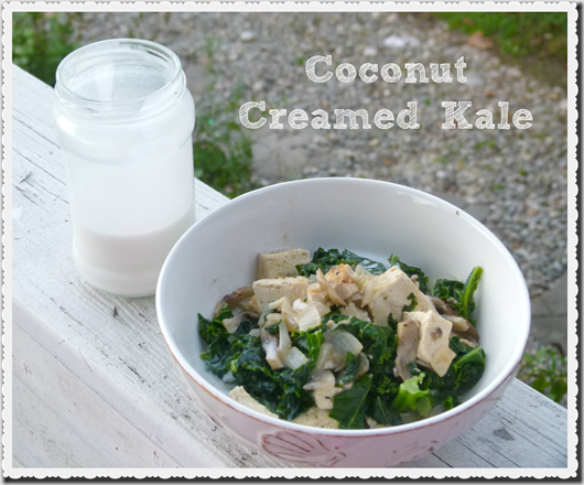 coconut creamed kale