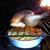 IMG_00059.jpg