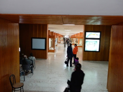 DSCN3500.jpg DSCN3500