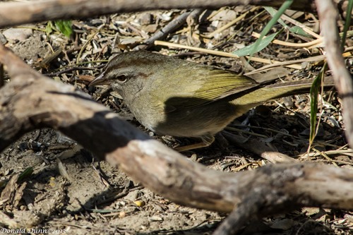 [130226_E-9%255B4%255D.jpg]