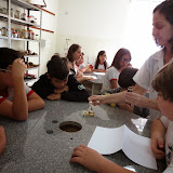 IMG_2984.JPG