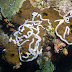 P7105609