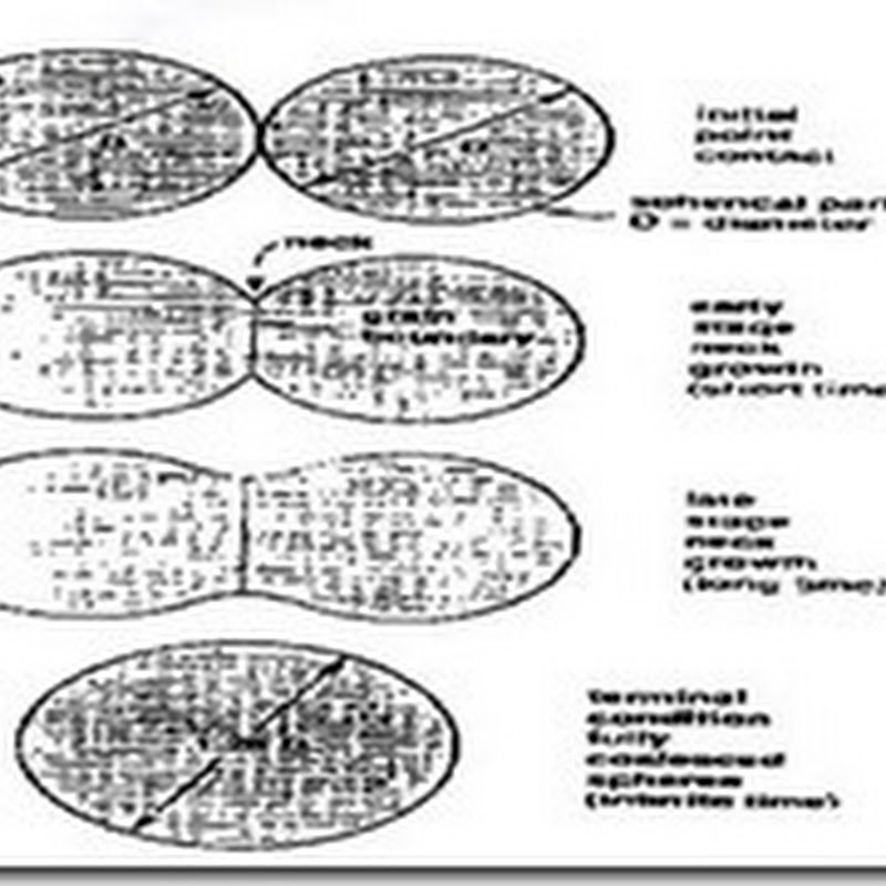 Pembakaran (Sintering)
