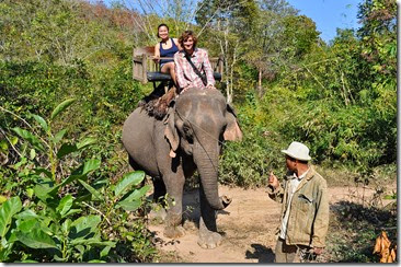 Laos Luang Prabang Elephant camp 140201_0022