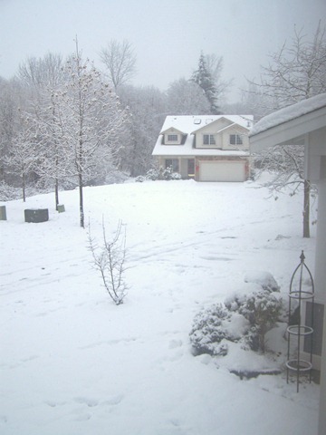 [1-17-2012%2520%252851%2529%255B22%255D.jpg]