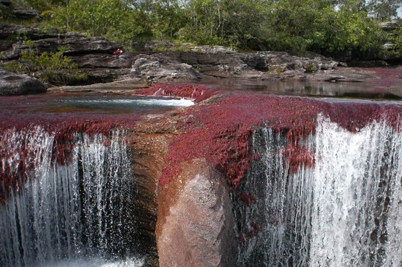  نهر الالوان الخمسة من اجمل انهار العالم : Cano-cristales-14%25255B3%25255D