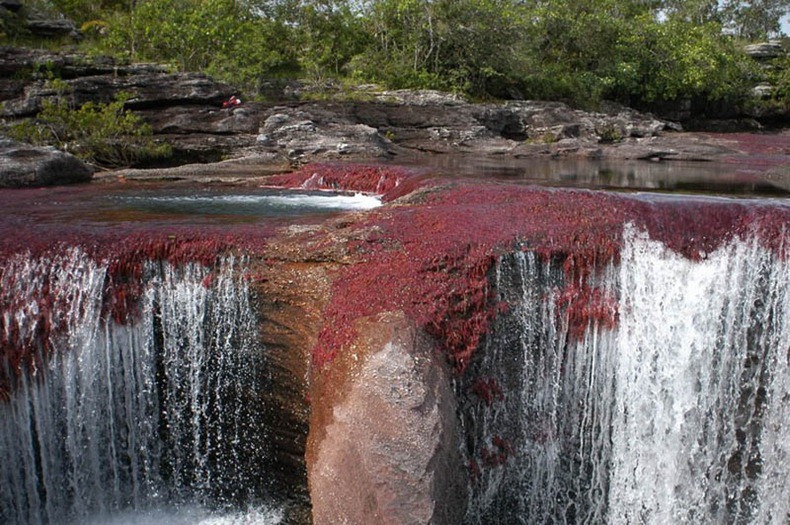 نهر الالوان الخمسة من اجمل انهار العالم Cano-cristales-14%25255B3%25255D