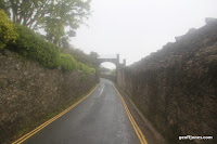 IMG_9384.JPG Photo