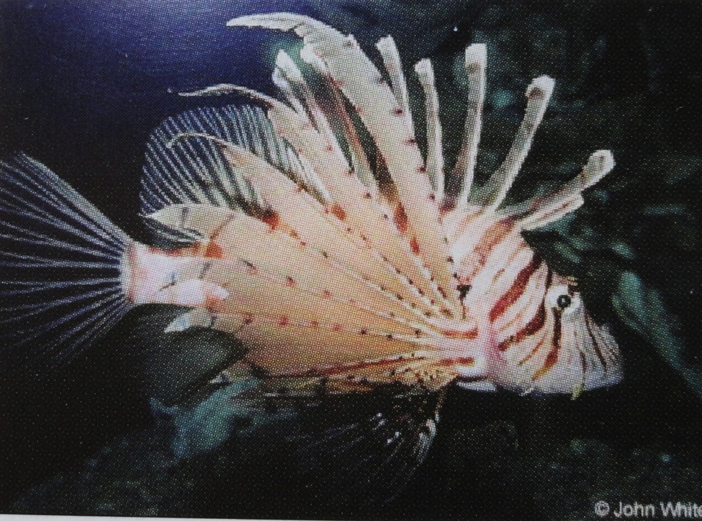 [DSC016013.jpg]