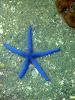  Koh Lipe Resimleri Fotoğrafları