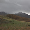 IMG_8046.JPG