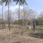 Before the rainy season