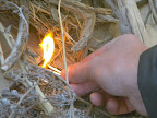 DSCN5098.JPG