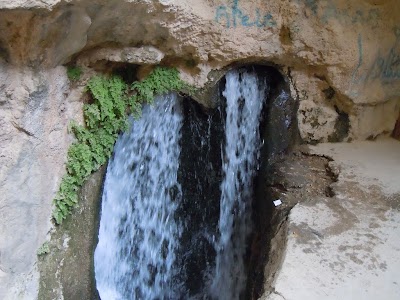 DSCN3857.jpg