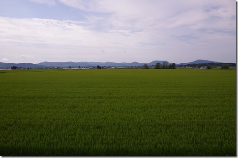 IMGP5798 IMGP5798