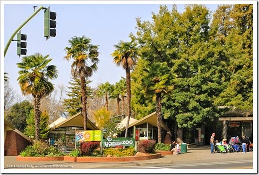 New succulent bed at the Sacramento Zoo