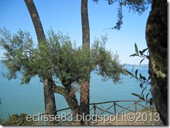 IMG_0209 IMG_0209