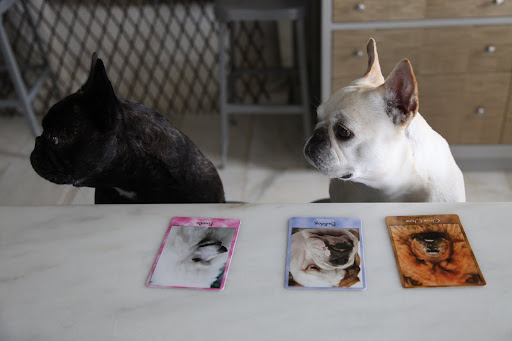 No, G.K!  It's not good enough!  Frenchies are quite different!