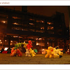 unionsquare.16.jpg